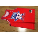 Magic Johnson 1991 NBA All Star Game Swingman Trikot Rot