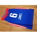 Miami Heat 6 Lebron James 2013 NBA East All-star Trikot